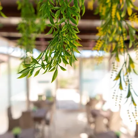 Tenuta Barone B&B 4*