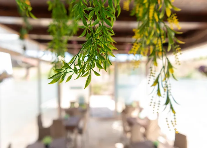 Tenuta Barone Couette-café 4*